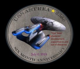 Six Month Anniversary Coin 