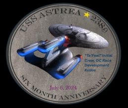 Six Month Anniversary Coin 